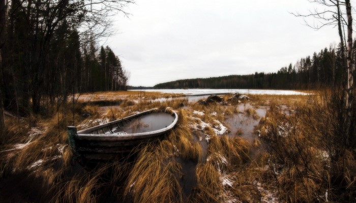 Abandoned boat in a marshy lake during winter
