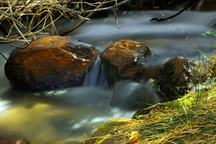Stream flowing over rocks with branches and grass