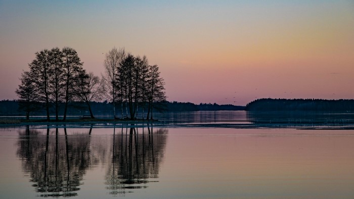 Trees reflecting in a lake at sunset