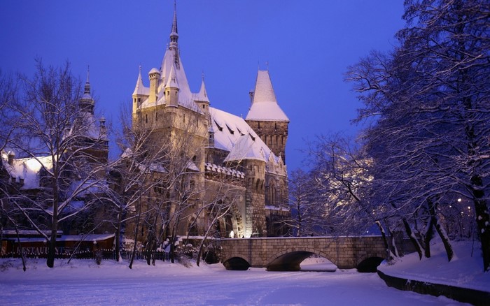 Vajdahunyad Castle in Budapest, Hungary during winter