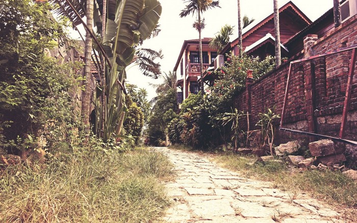 Stone path leading to houses surrounded by tropical plants