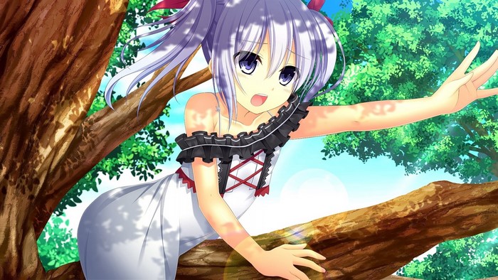 Shirakawa Hotaru from Otonari Koi Sensou in a tree