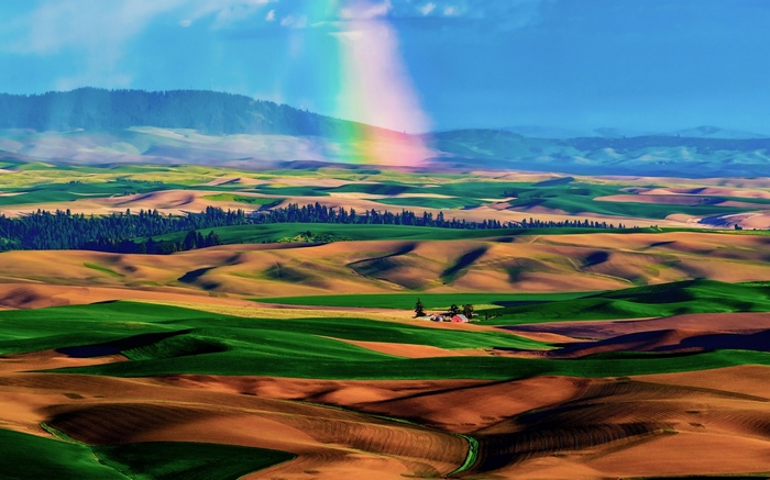 Rolling hills with a rainbow over farmland