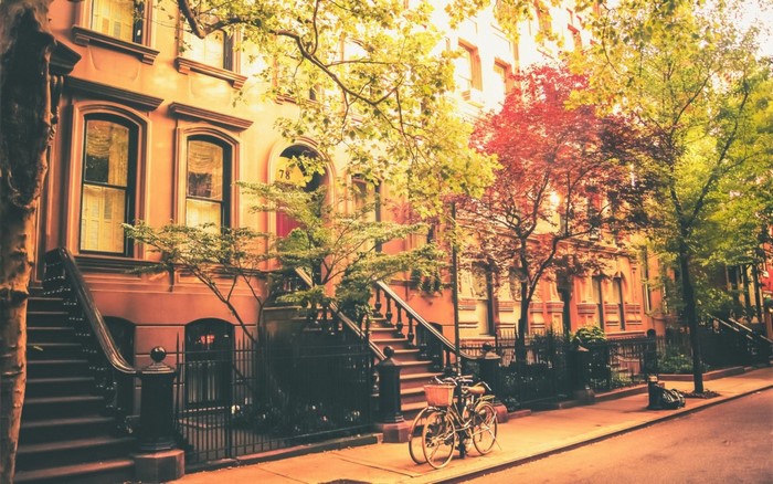 Brownstone street with trees in autumn