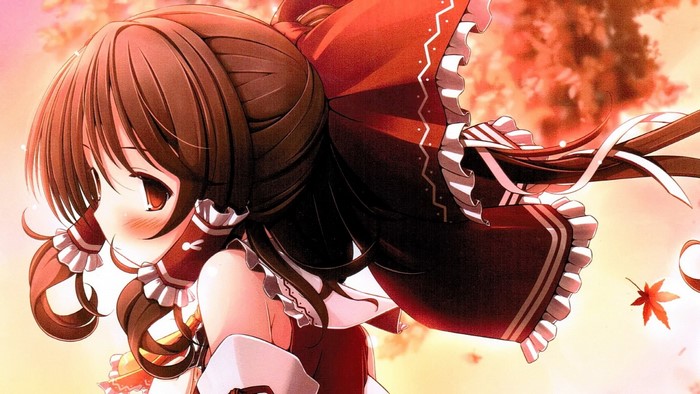 Hakurei Reimu from Touhou Project