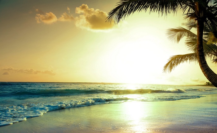 Tropical beach at sunset with palm trees