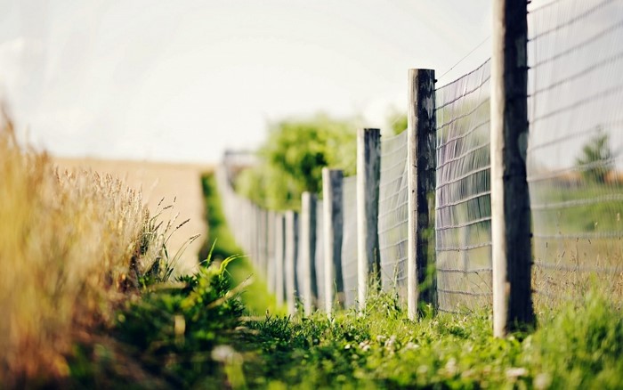 Fence along a field with grass and trees