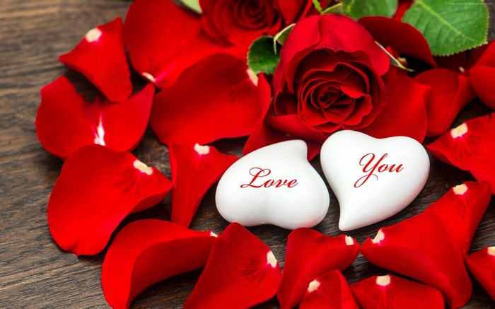 heart, HD, love image