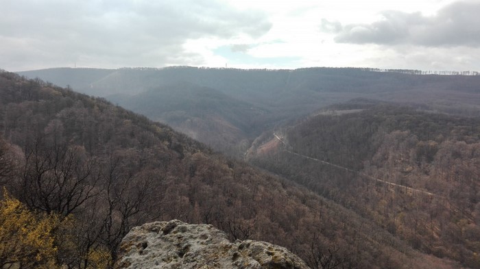 Overlooking a forested valley with a distant tower
