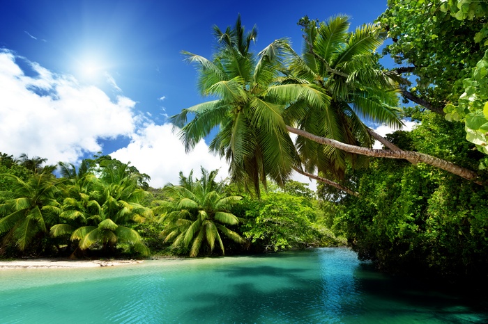 sun, clouds, palms, Ocean, 4k, 5k