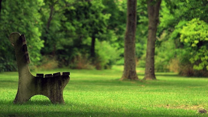 Empty park bench in a green meadow with trees