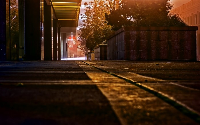 Nighttime urban path with planters and building facade