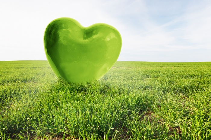 Green heart in a grassy field