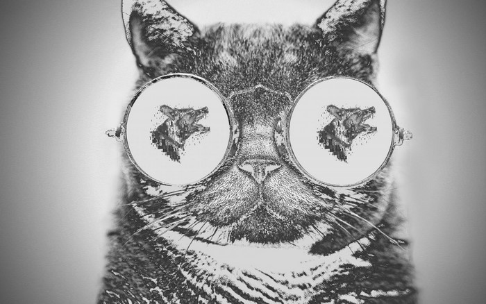 Close up sketch of a cat wearing glasses