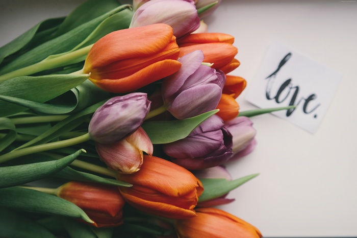 Tulips with a love card