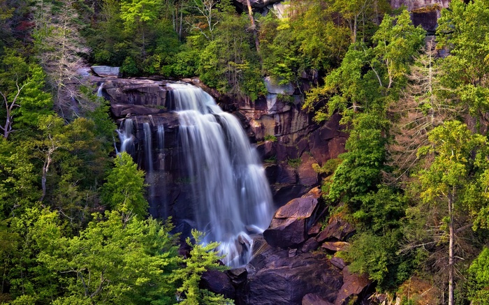 Waterfall cascading over rocks surrounded by trees