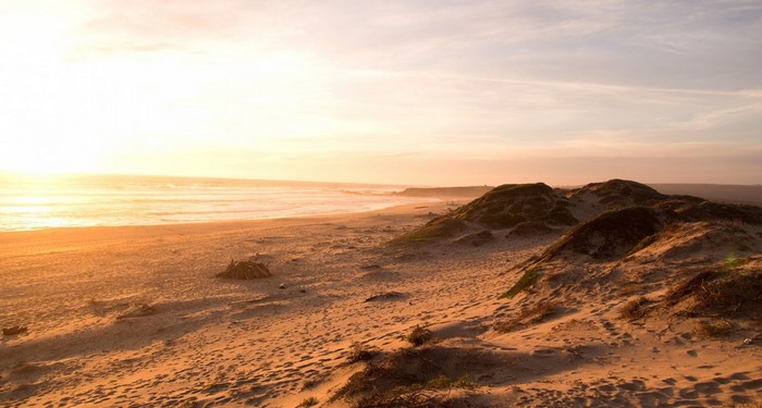 Beach dunes at sunset with ocean waves
