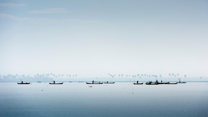 Fishermen in boats on a misty lake with palm trees