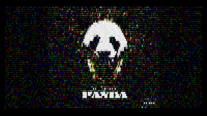Skull ASCII art with text PAYILL