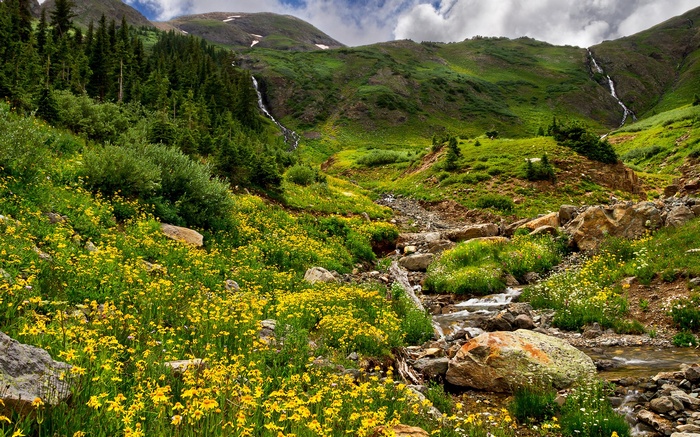 Mountain valley with wildflowers and waterfalls