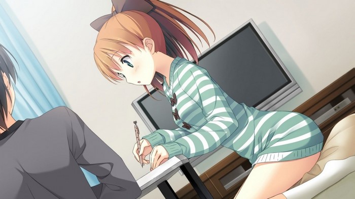 Minagawa Yuuhi Writing in Your Diary Visual Novel