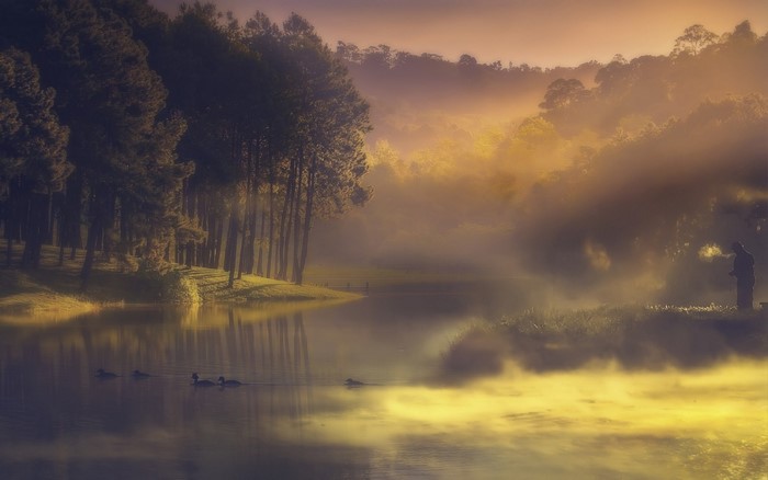 Misty lake at sunrise with trees and a lone fisherman