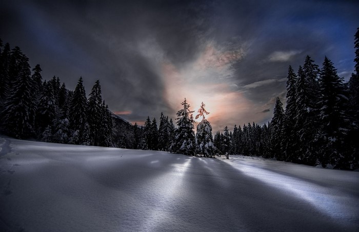 Snowy forest landscape at sunset with dramatic clouds