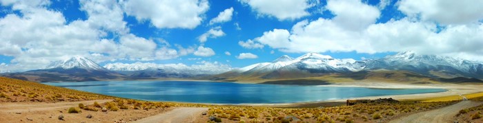 Lake with snow-capped mountains and dry vegetation in Chile