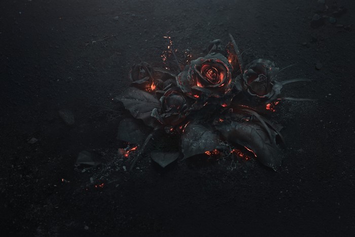 Burning black roses on dark ash