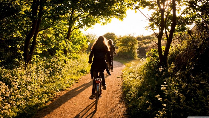 Two women cycling on a sun-dappled forest trail