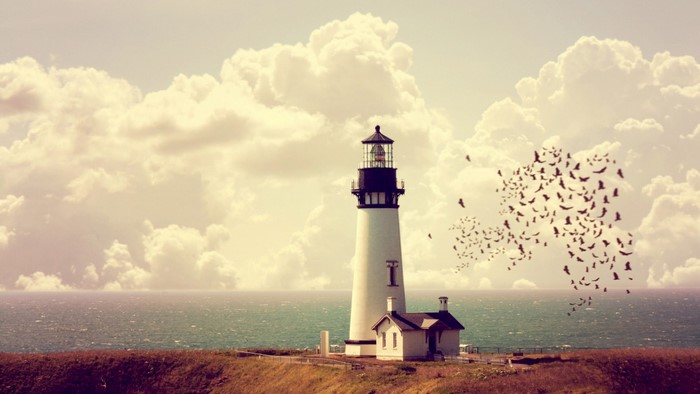 Lighthouse on a grassy hill with birds flying