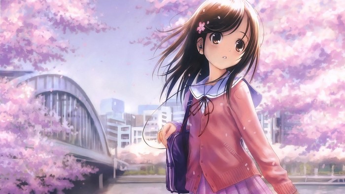 Anime girl with cherry blossoms and bridge