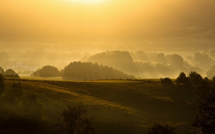 Misty sunrise over rolling hills and forests