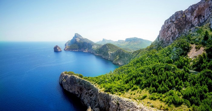 Coastal mountains with a bay and dense green forest