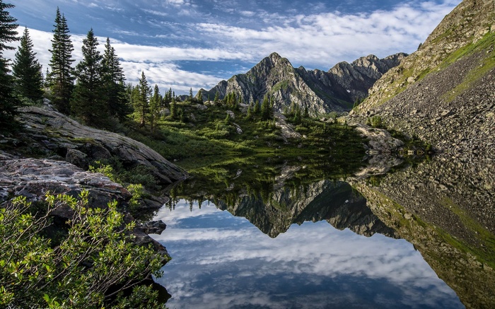 Mountain lake reflection with trees and rocky slopes