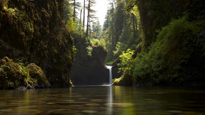Sunlit Waterfall in Forested Canyon