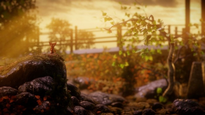 A small creature on a rock in a forest