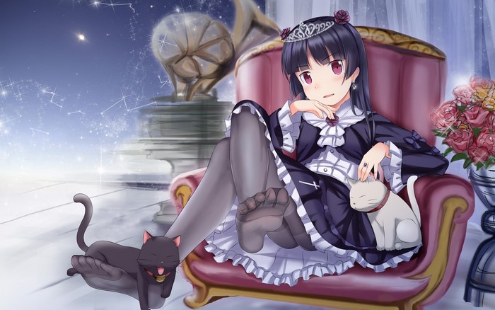 Gokou Ruri with cats in a luxurious room