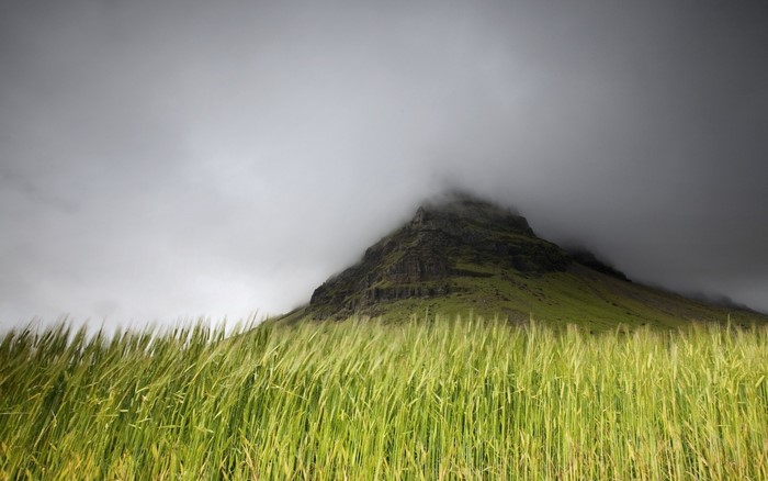 Mountain peak shrouded in clouds over a green field