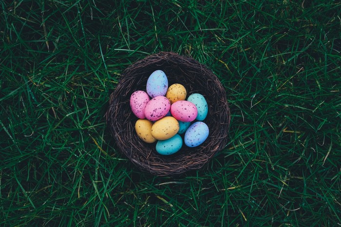 Colorful Easter Eggs in a Nest on Green Grass