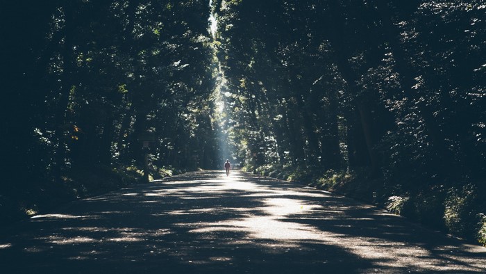 Person walking on a sun-dappled forest path