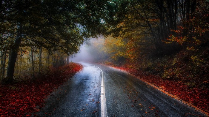 Winding road through a misty autumn forest in Greece