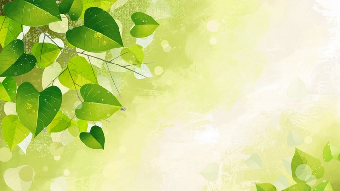 Green leaves on branches with sunlight and bokeh effect