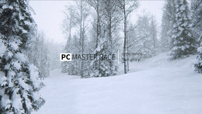 PC Master Race experience true glory winter forest