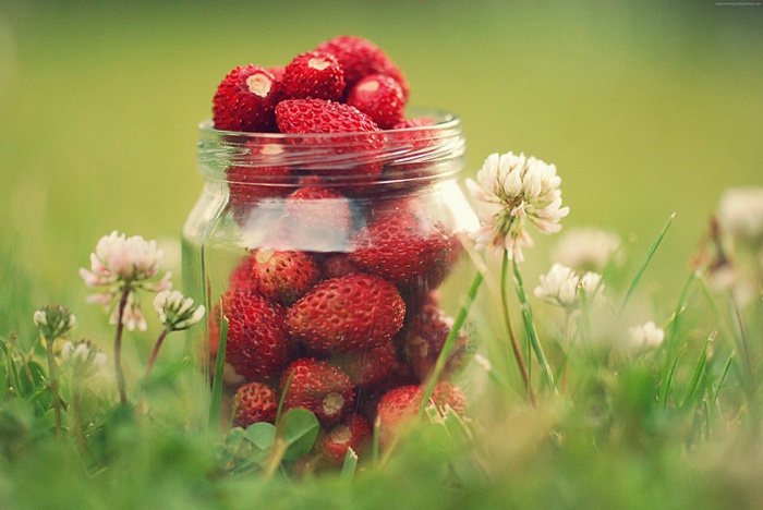 Jar of strawberries in grass with clover flowers