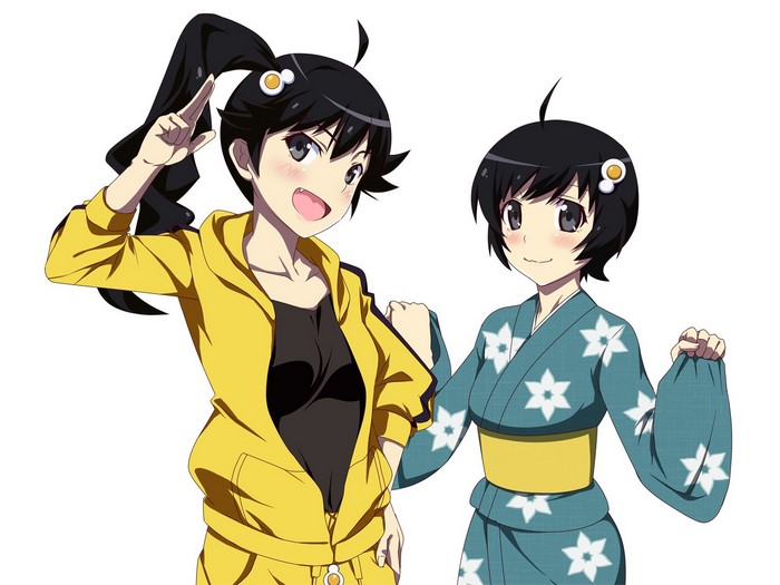 Karen and Tsukihi Araragi from Monogatari Series