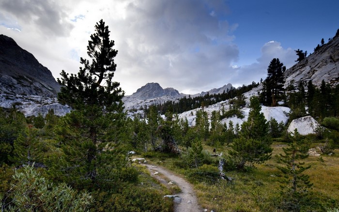 Mountain Trail Through Rocky Forest and Meadows