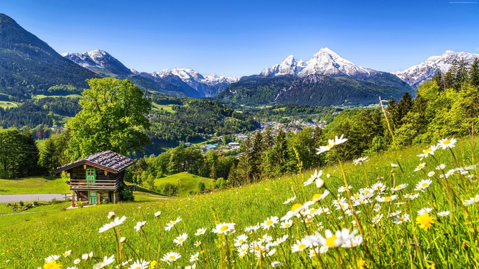 4k, 5k, mountains, grass, Germany, daisies, Alps, Meadows