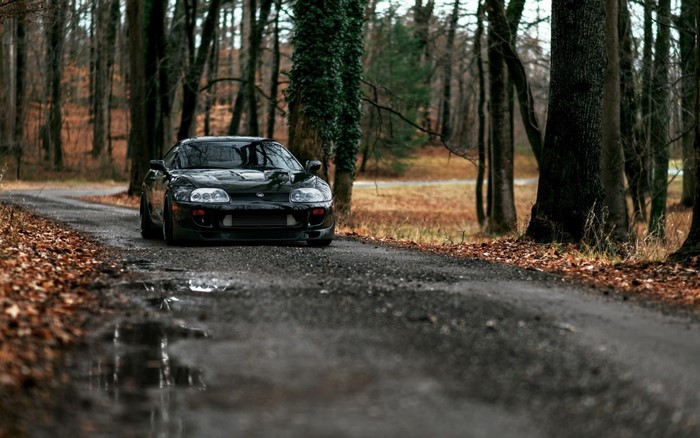forest, car, vehicle, road, dirt road, JDM, tuning, Toyota Supra ...