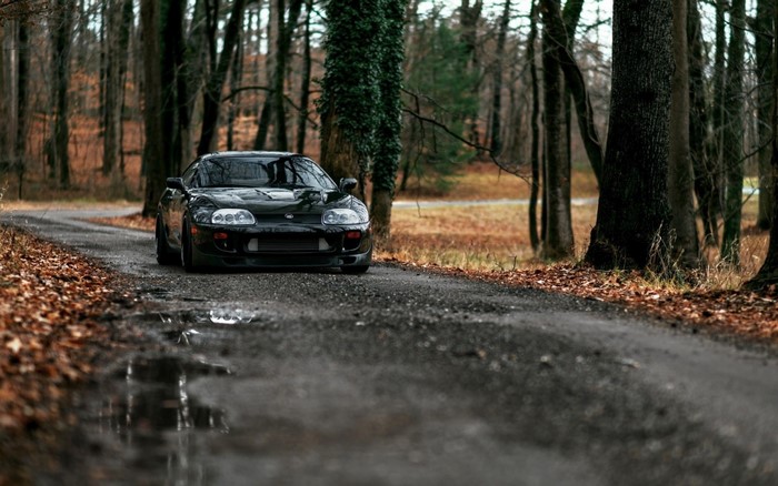 Toyota Supra on a Forest Dirt Road